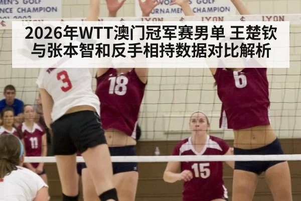2026年WTT澳门冠军赛男单 王楚钦与张本智和反手相持数据对比解析